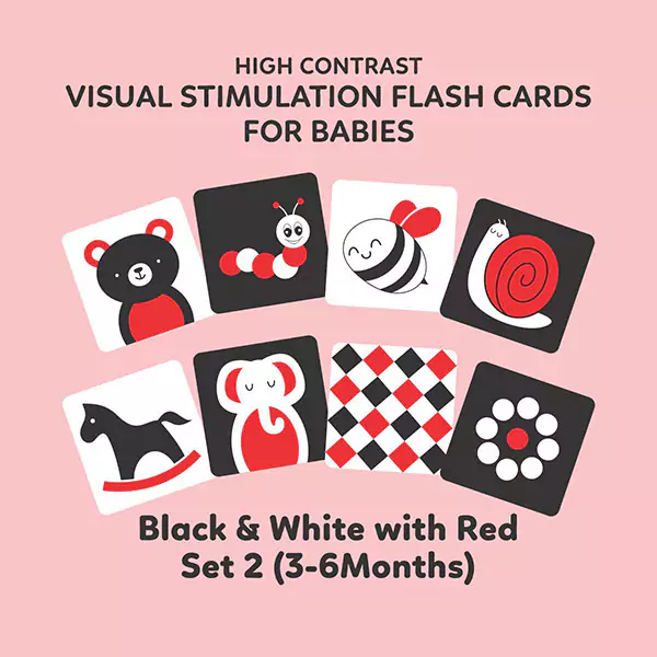 3 6 months sensory flashcards web 600 x 600 2