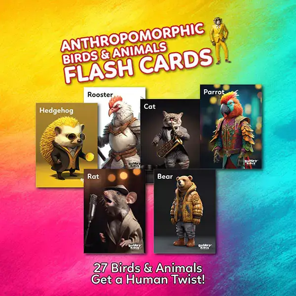 anthropomorphic flash cards web 600 px x 600 px 01