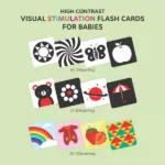 sensory flashcards web 600 x 600 6583fbca46df5